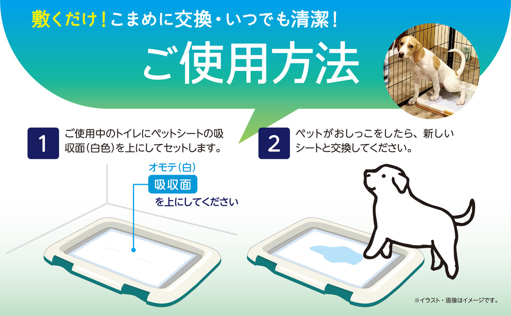 Pet&me ペットシーツ Premium+ 超吸収 消臭（犬用トイレシート・3サイズ展開）