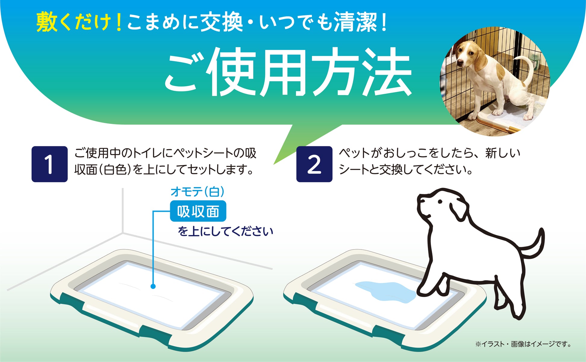 Pet&me ペットシーツ Premium+ 超吸収 消臭（犬用トイレシート・3サイズ展開）